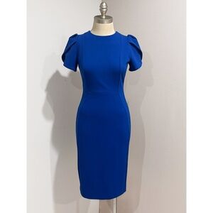Calvin Klein Women's Blue Scuba Tulip Sleeve Sheath Dress Size 2